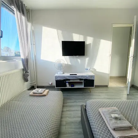 公寓 Bel 2 Pieces - 10min De La 尼斯